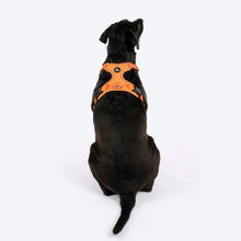 Huft Xplorers Harness For Dogs Orange - Image 2
