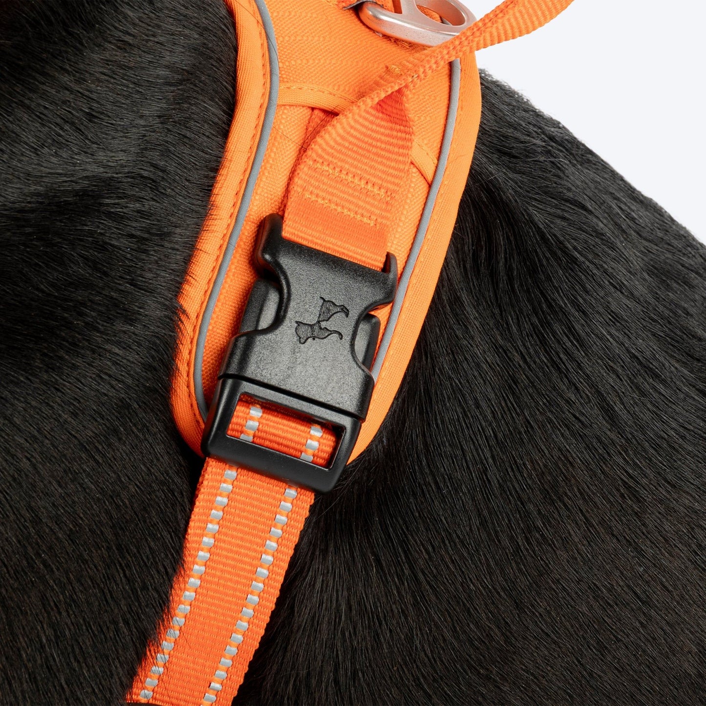 HUFT Xplorers Harness for Dogs — in use