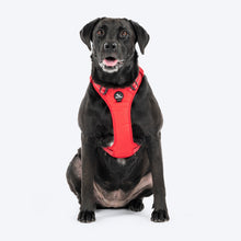 Huft Xplorers Harness For Dogs Red
