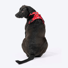 Huft Xplorers Harness For Dogs Red - Image 2