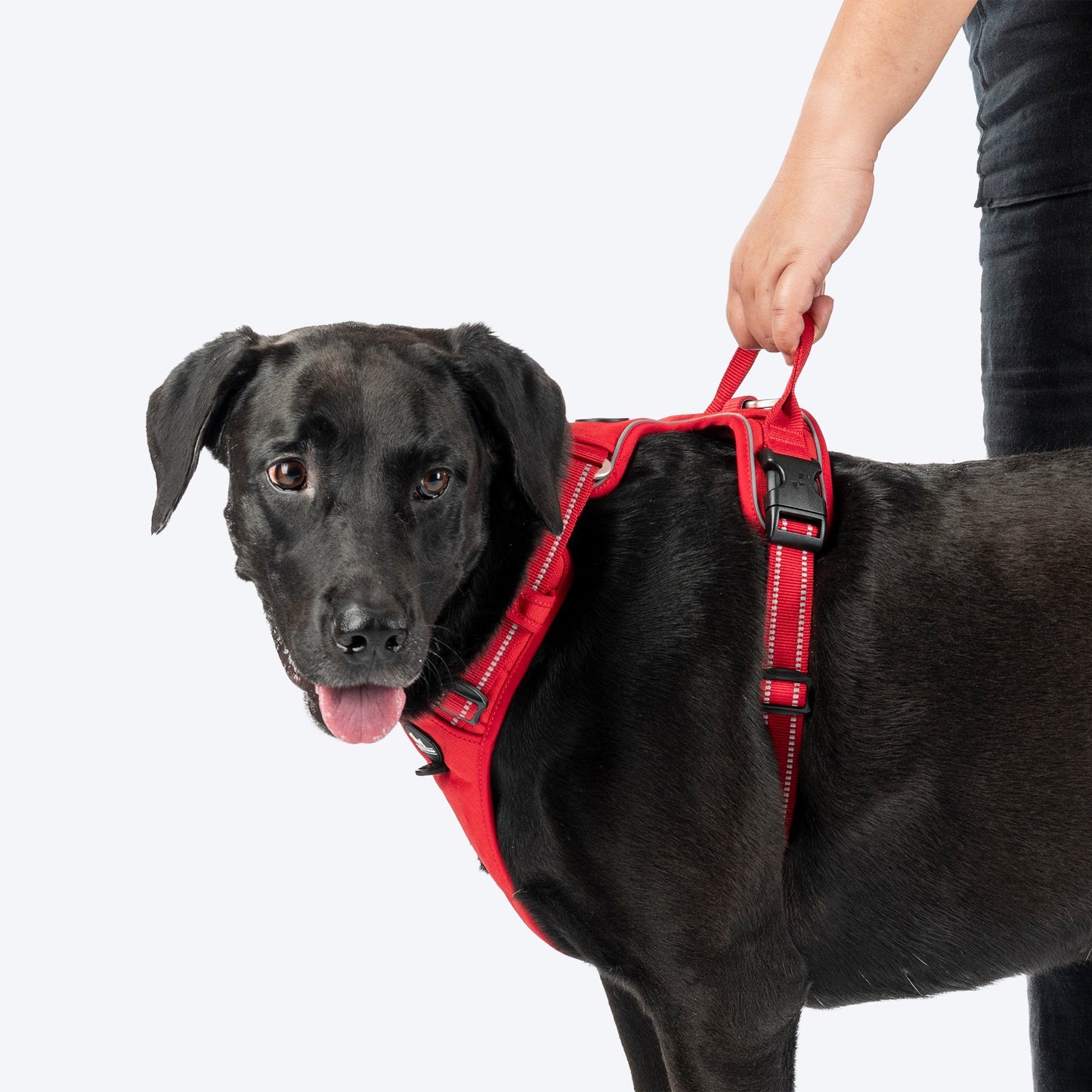 HUFT Xplorers Harness for Dogs — detail shot