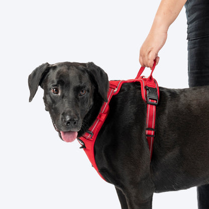 HUFT Xplorers Harness for Dogs — detail shot