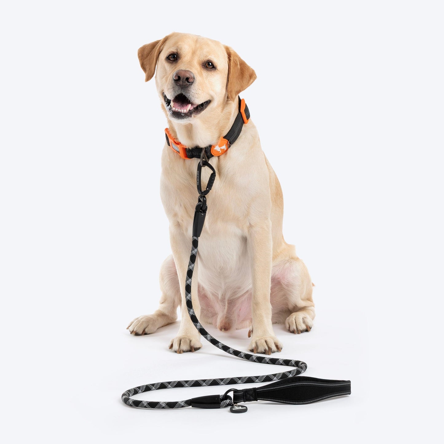 HUFT Xplorers Rope Leash for Dogs — back view