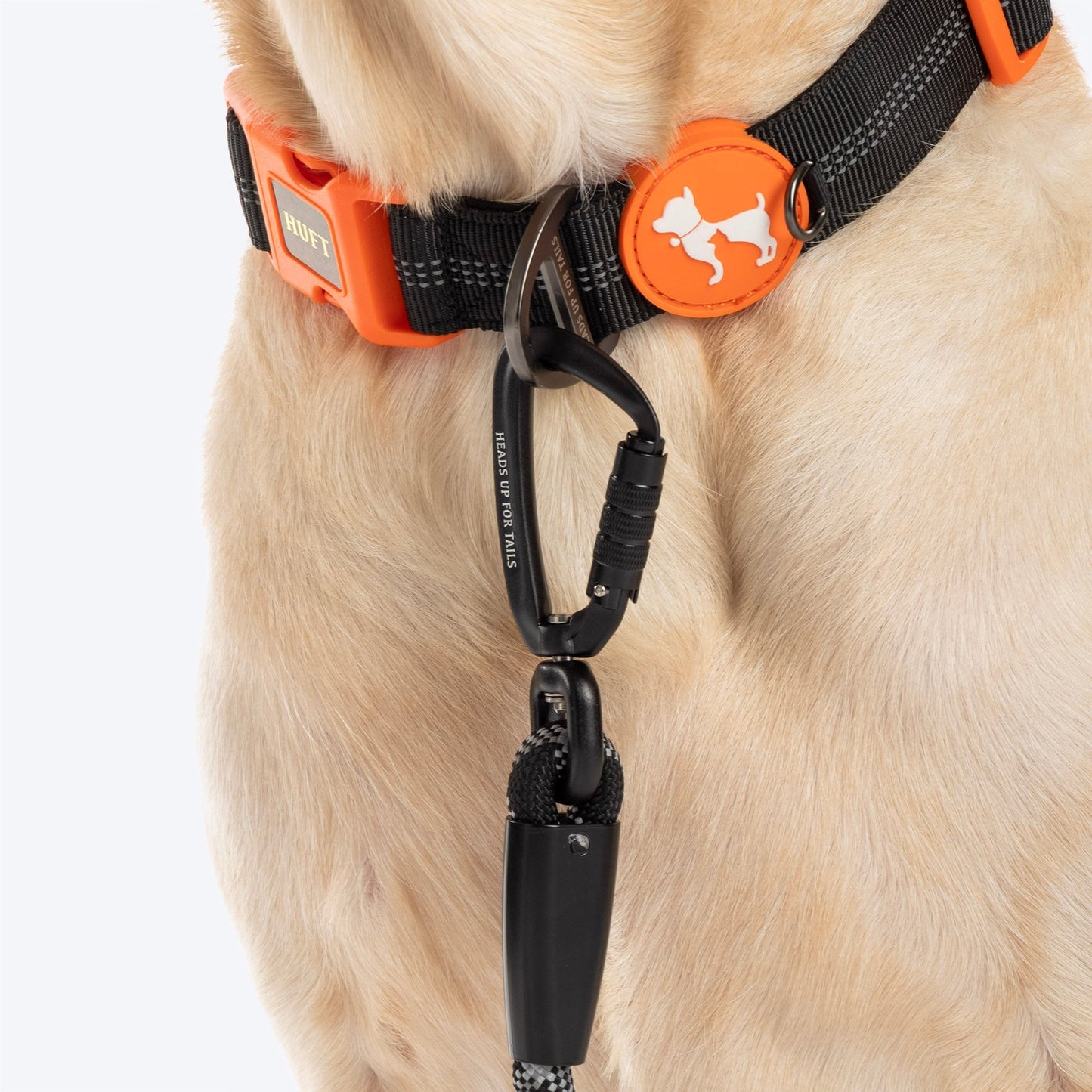 HUFT Xplorers Rope Leash for Dogs — in use