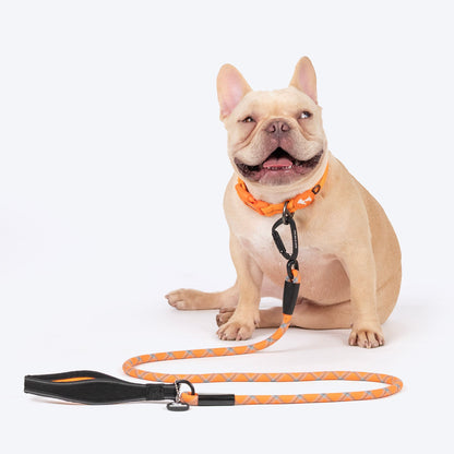 HUFT Xplorers Rope Leash for Dogs — in use