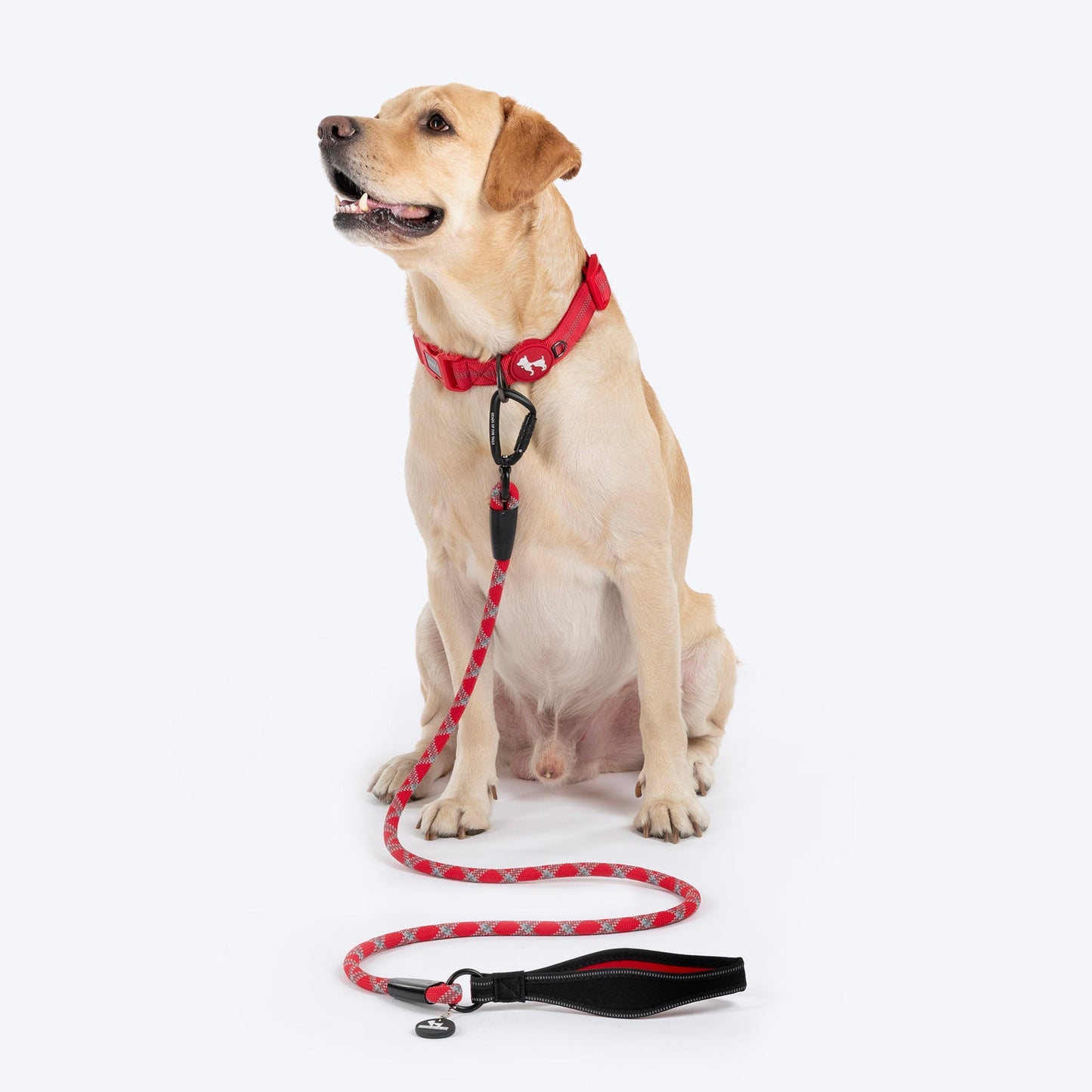 HUFT Xplorers Rope Leash for Dogs — in use