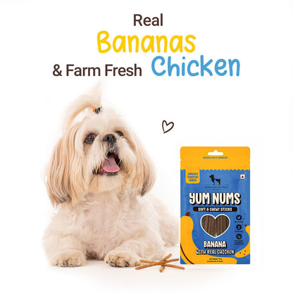 HUFT Yum Nums Banana with Real Chicken Soft & Chewy Sticks Dog Treats — detail shot