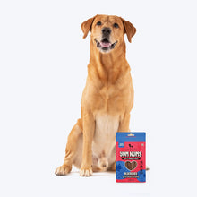 Huft Yum Nums Blueberry With Real Chicken Soft Chewy Sticks Dog Treats - Image 2