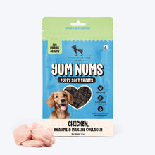 Huft Yum Nums Chicken Brahmi And Marine Collagen Grain Free Soft Treats For Puppys - Image 5