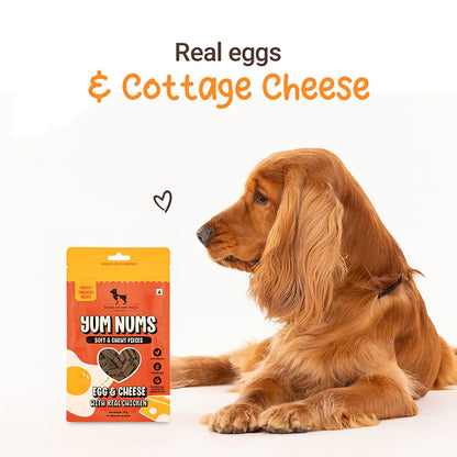 HUFT Yum Nums Egg and Cheese Soft Grain Free Sticks Treat for Dogs — in use