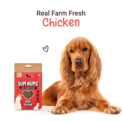 Huft Yum Nums Real Chicken Soft Chewy Sticks Dog Treats - Image 5