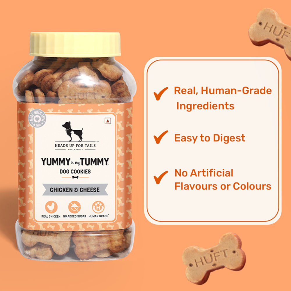 HUFT Yummy in my Tummy Chicken and Cheese Cookies Dog Treats — detail shot