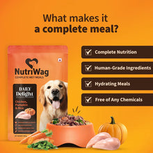 Nutriwag Daily Delight Chicken Pumpkin Rice Dog Wet Food - Image 2