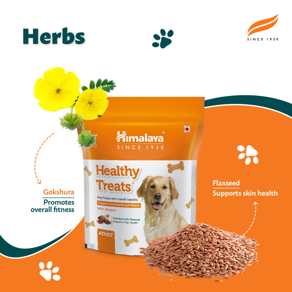 Himalaya Chicken Healthy Treats For Adult Dogs - Image 3