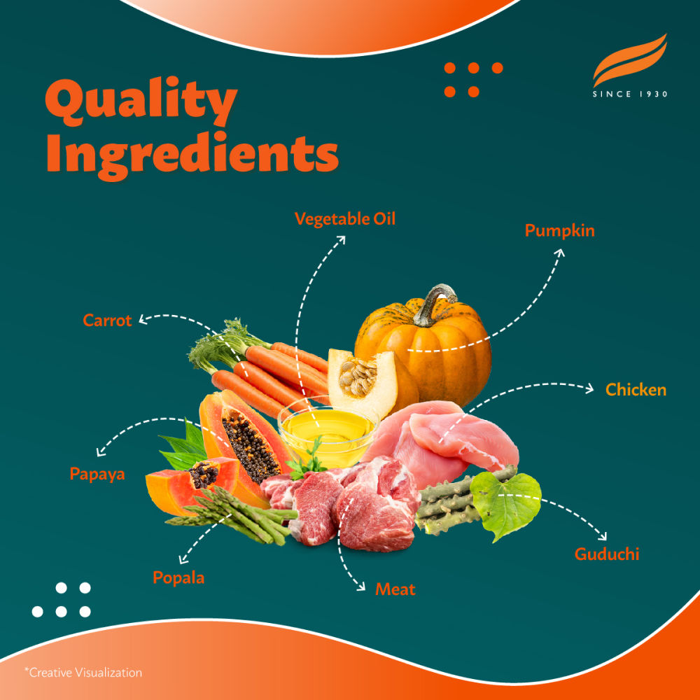 Himalaya Chicken & Pumpkin Adult Dog Dry Food — back view