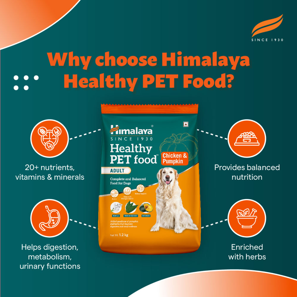 Himalaya Chicken & Pumpkin Adult Dog Dry Food — detail shot