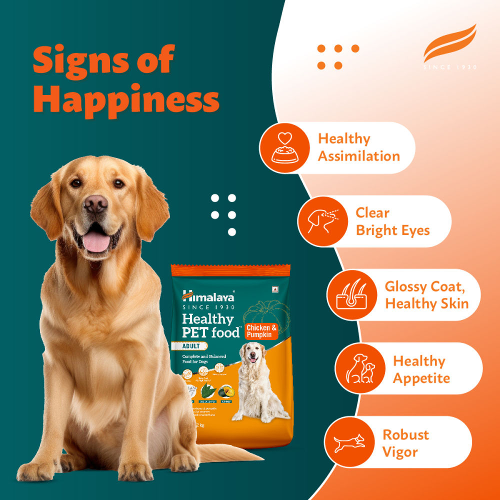 Himalaya Chicken & Pumpkin Adult Dog Dry Food — in use