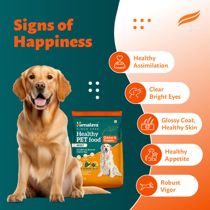 Himalaya Chicken & Pumpkin Adult Dog Dry Food — in use