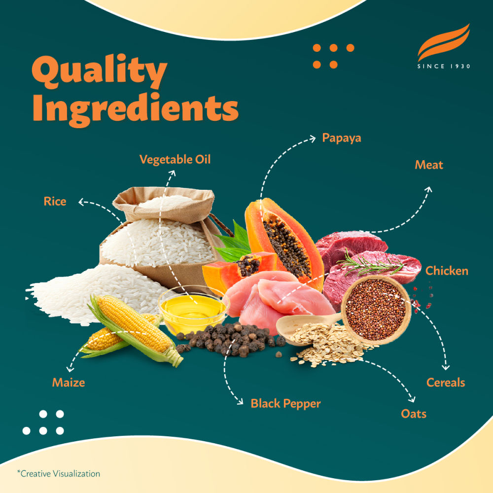 Himalaya Chicken & Rice Healthy Pet Puppy Dog Dry Food — back view
