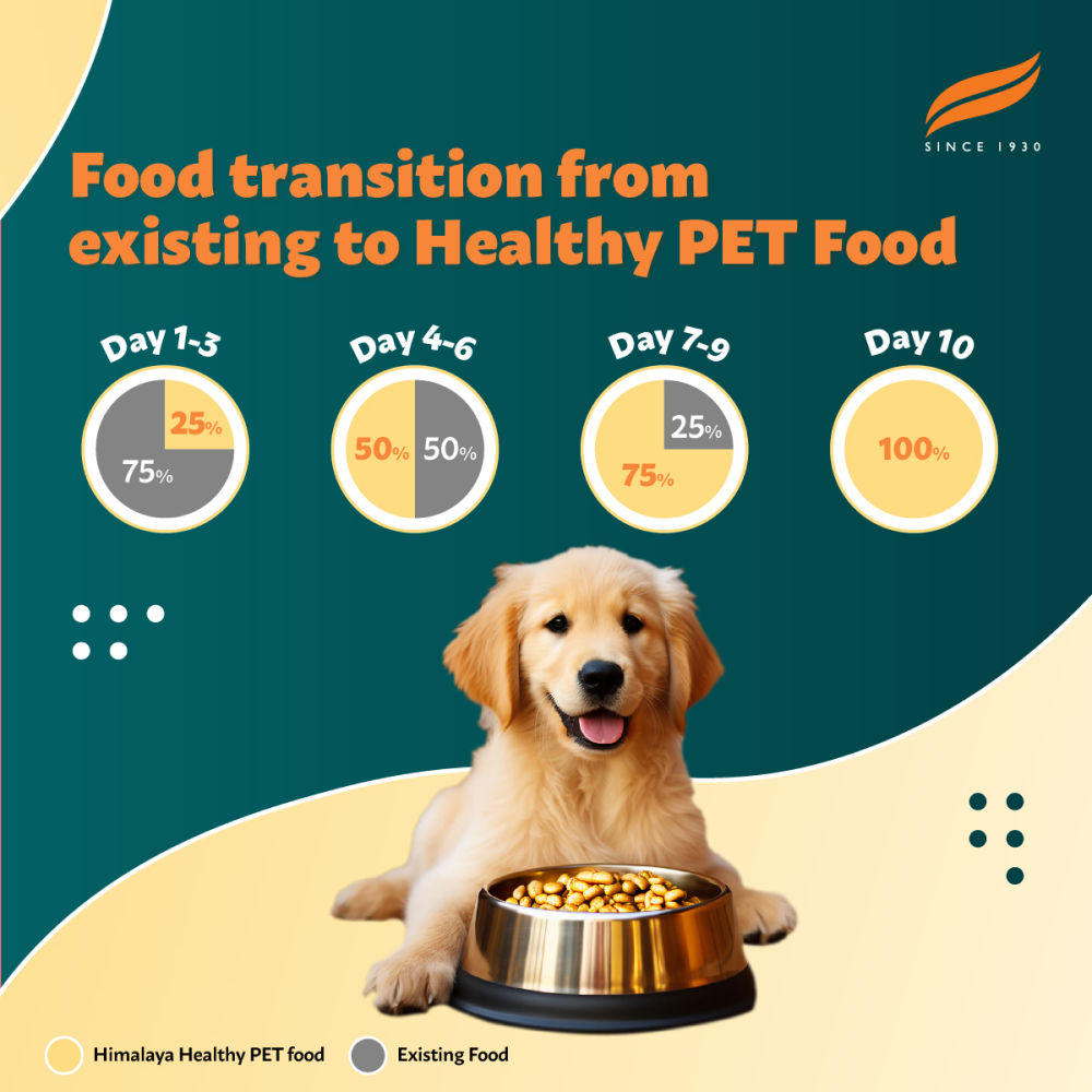 Himalaya Chicken & Rice Healthy Pet Puppy Dog Dry Food — detail shot