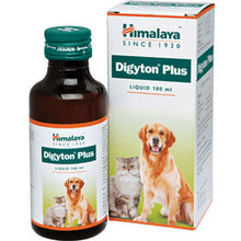Himalaya Digestive Stimulant Digyton Plus Syrup