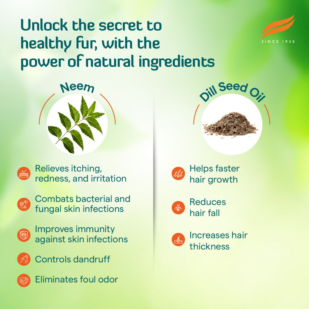 Himalaya Erina Coat Cleanser Shampoo for Dogs and Cats — in use
