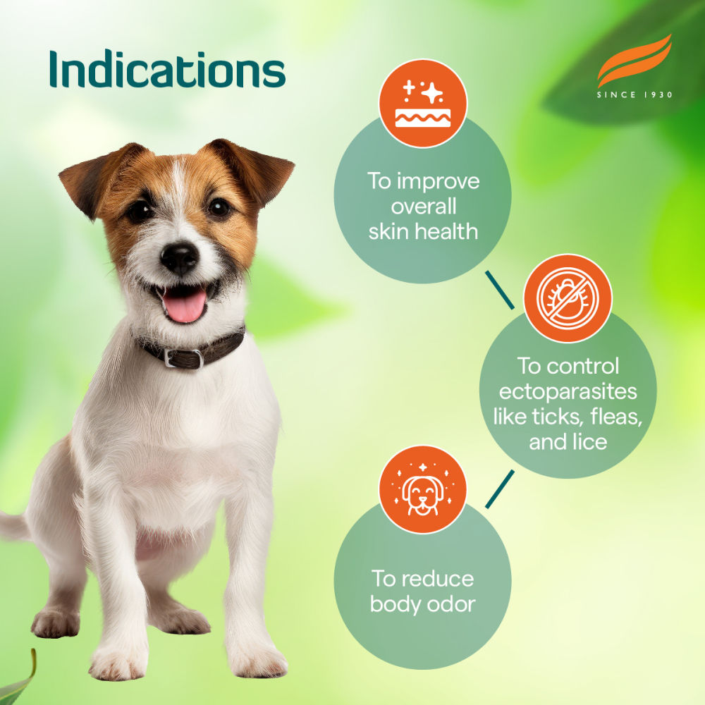 Himalaya Erina EP Flea and Tick Powder for Dogs and Cats — detail shot