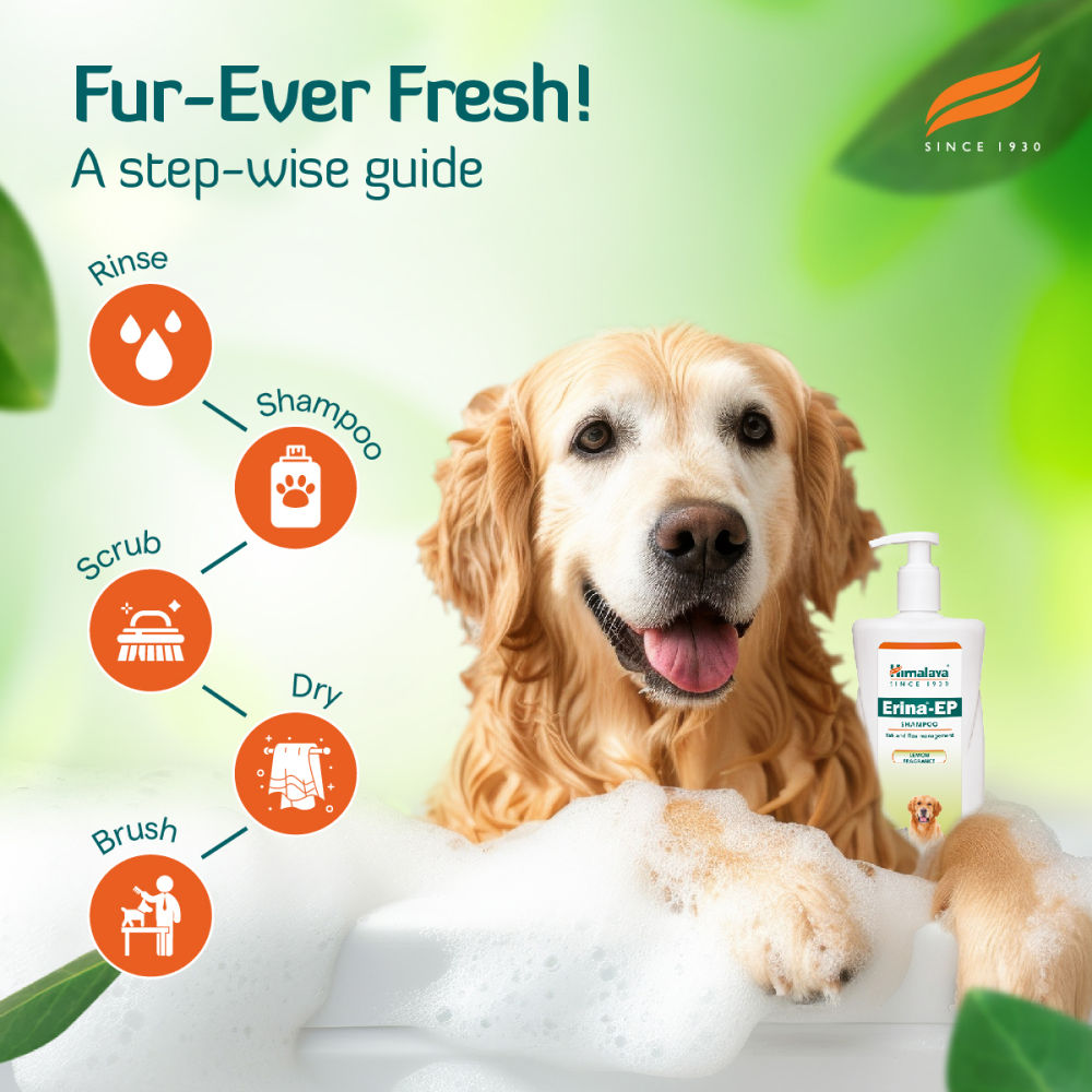Himalaya Erina EP Tick and Flea Shampoo for Dogs and Cats — back view