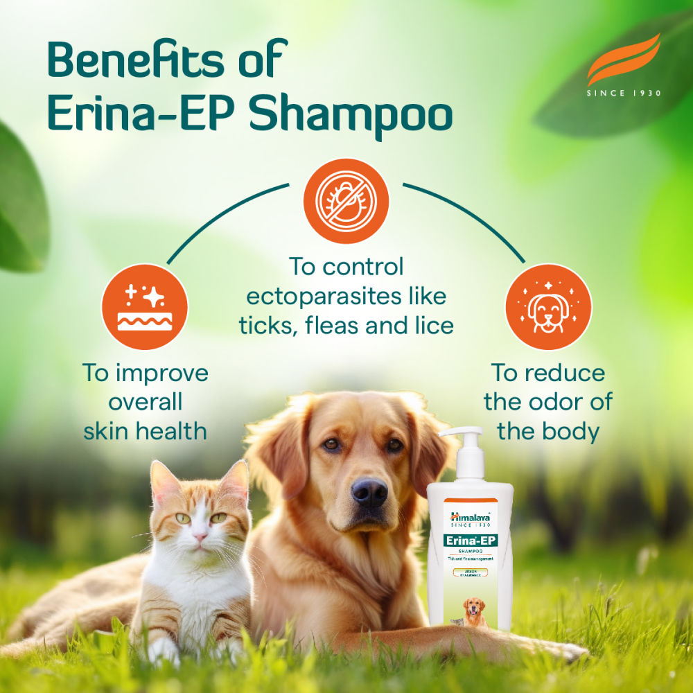 Himalaya Erina EP Tick and Flea Shampoo for Dogs and Cats — detail shot