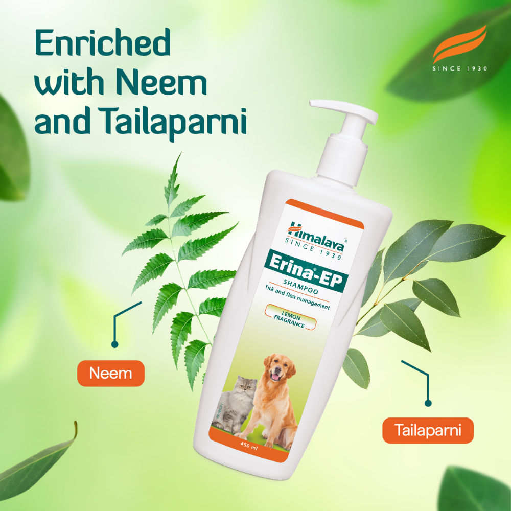 Himalaya Erina EP Tick and Flea Shampoo for Dogs and Cats — in use