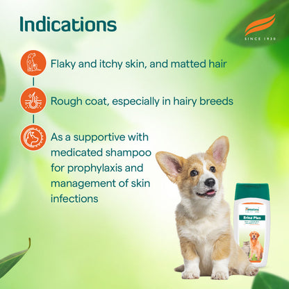 Himalaya Erina Plus Coat Cleanser with Conditioner for Dogs and Cats — detail shot