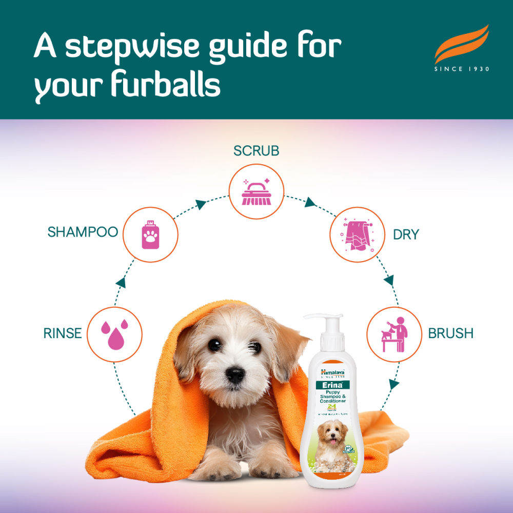Himalaya Erina Shampoo & Conditioner for Puppies — detail shot