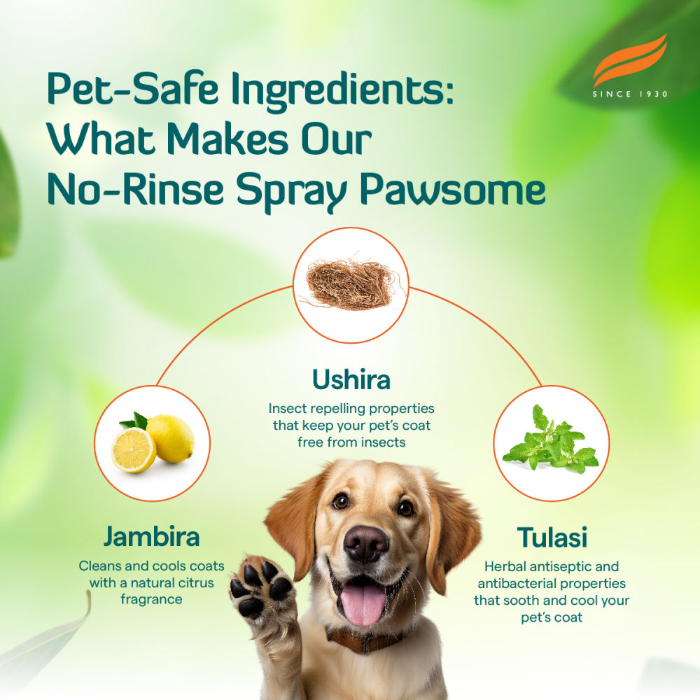 Himalaya Fresh Coat No Rinse Spray for Dogs and Cats — detail shot