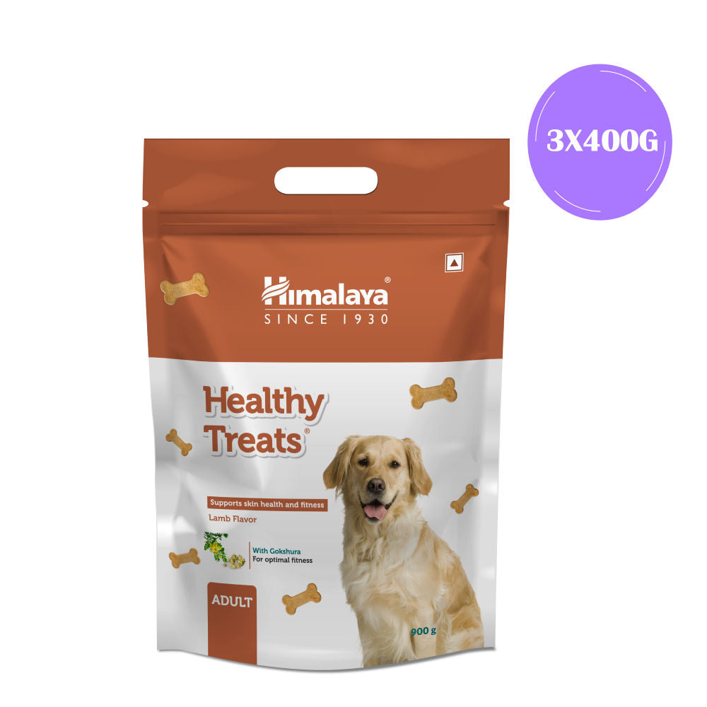 Himalaya Lamb Flavour Healthy Adult Dog Treats - Image 2