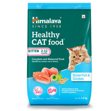 Himalaya Ocean Fish Chicken Healthy Mother Kitten Cat Dry Food - Image 2