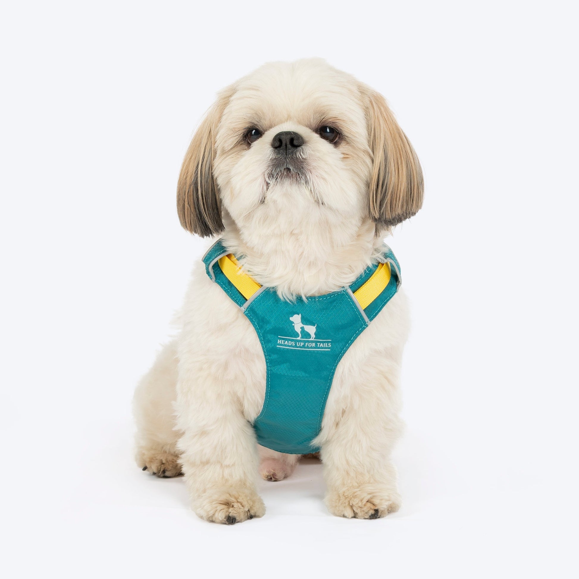 HUFT Walkmate Harness for Dogs — image 6