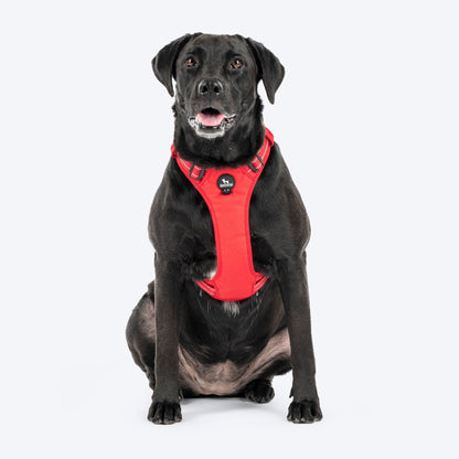 huft-xplorers-harness-for-dogs-red L