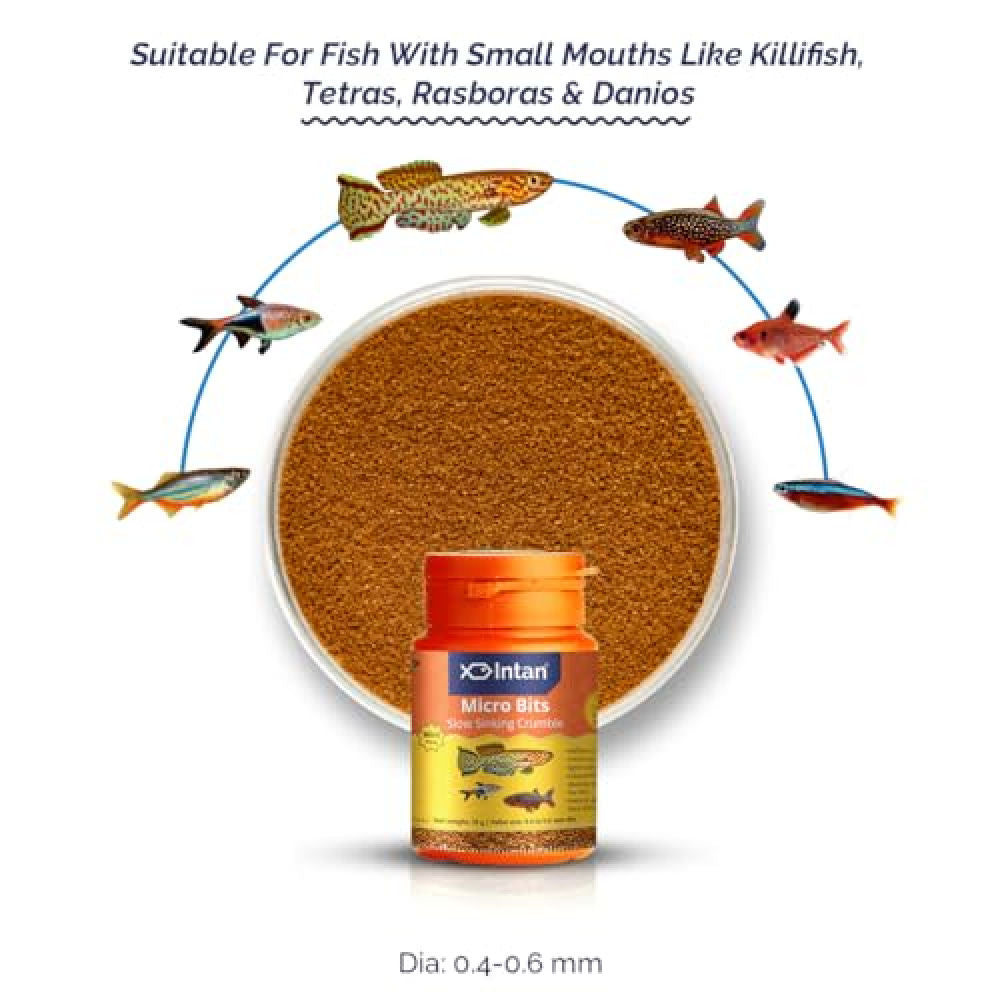 Growel Intan Betta Pellets Fish Food Copy - Image 2
