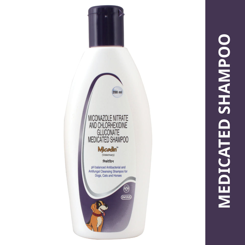 Intas Micodin Antifungal & Antibacterial Shampoo for Dogs and Cats — in use