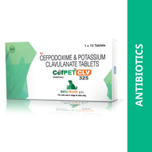Intas Cefpet Clv 325Mg Tablets Cefpodoxime Potassium Clavulanate For Dogs And Cats - Image 3