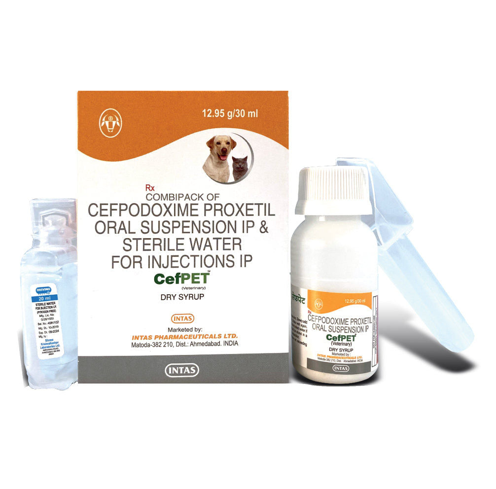 Intas Cefpet Dry Syrup (Cefpodoxime Proxetil) for Dogs and Cats — side view