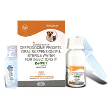 Intas Cefpet Dry Syrup For Dogs And Cats 30Ml - Image 2