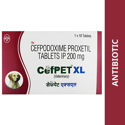 Intas Cefpet Xl Tablet