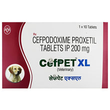 Intas Cefpet Xl Tablet - Image 2