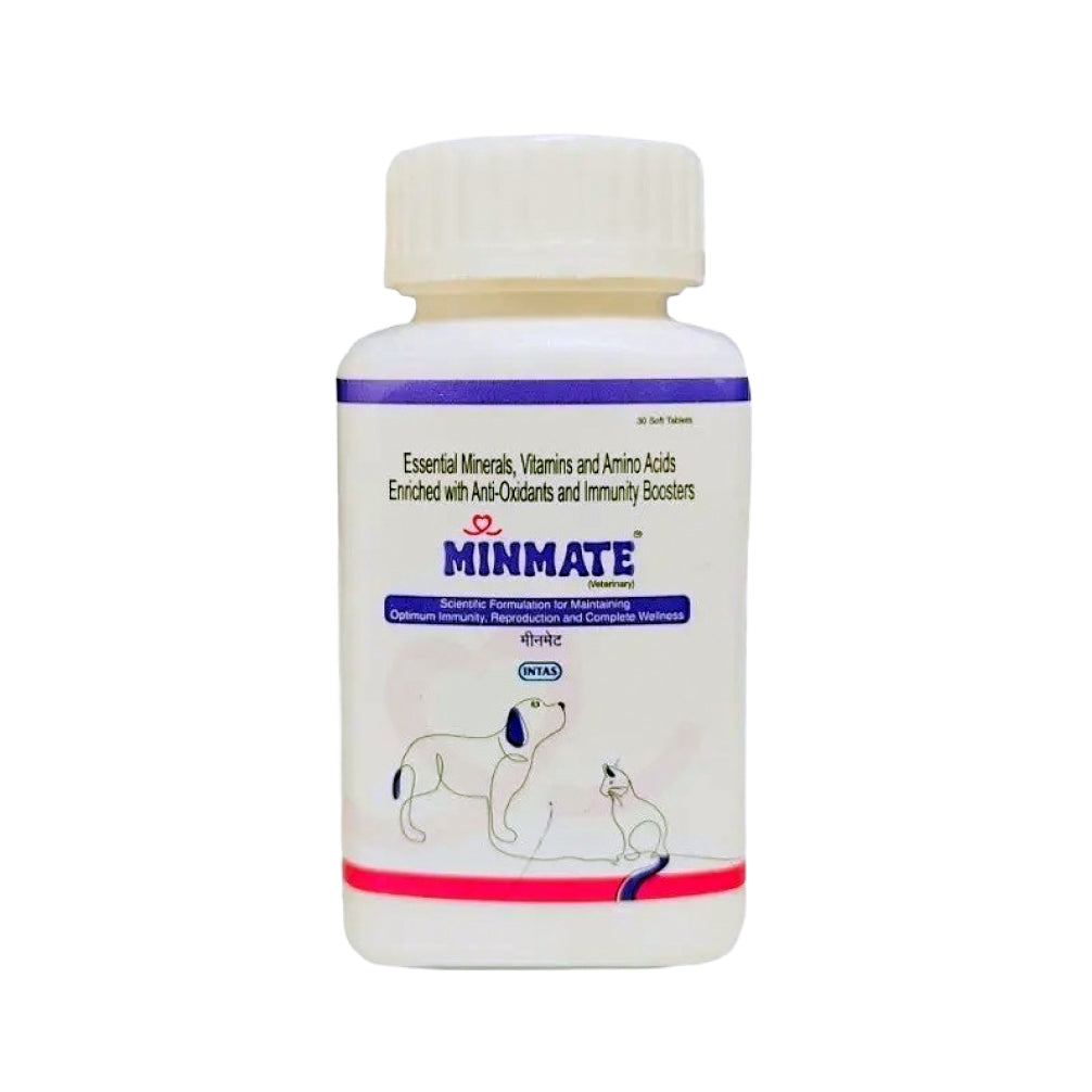Intas Minmate Tablet Immunity Supplement For Dogs Cats