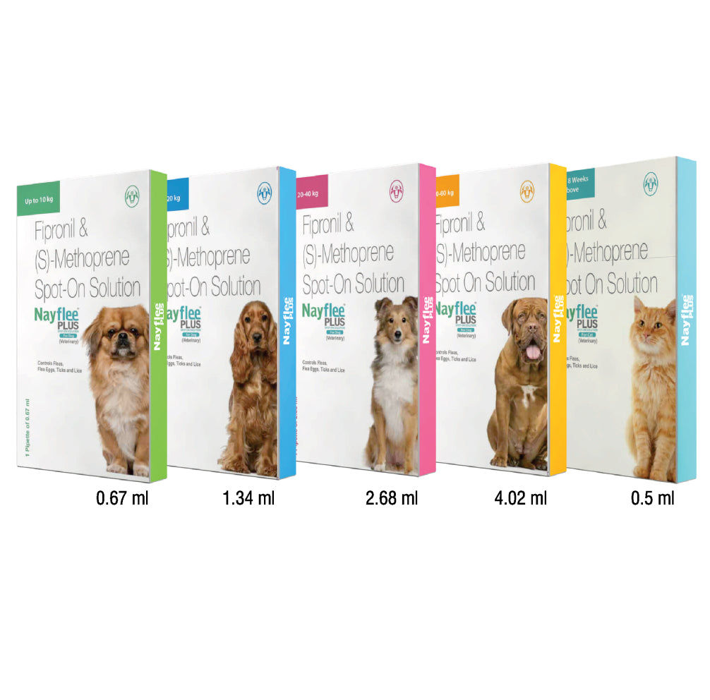 Intas Nayflee Plus Tick & Flea Spot On Dogs — in use