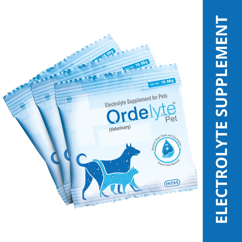 Intas Ordelyte Powder For Dogs And Cats