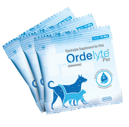 Intas Ordelyte Powder Electrolyte Suppement for Dogs and Cats — side view