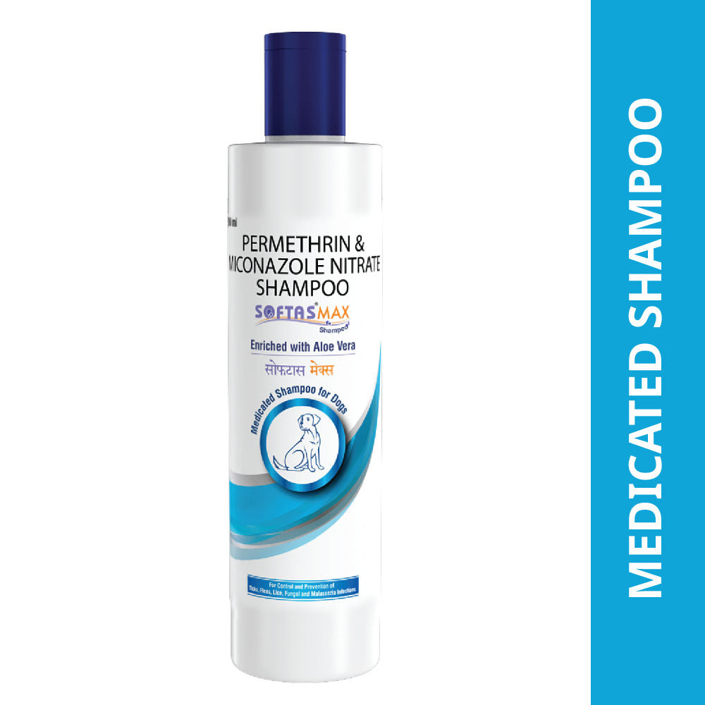 Intas Softas Max Tick Flea Shampoo For Dogs And Cats