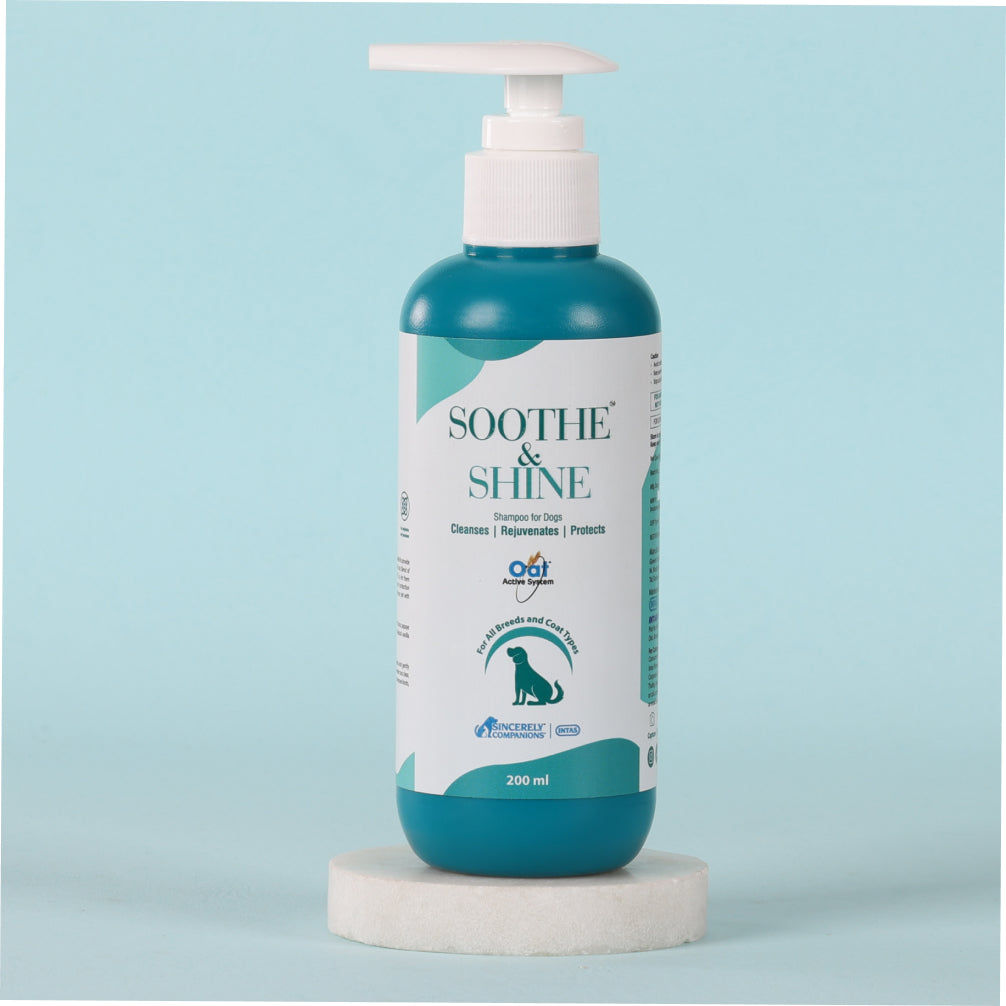 Intas Soothe Shine Shampoo For Dogs